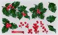 Christmas decorations. Holly, red berries. 3d vector icon set Royalty Free Stock Photo