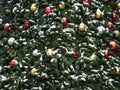 Christmas decorations are hung on the Christmas tree Royalty Free Stock Photo