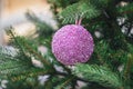 Christmas decorations purple ball hanging on branch of fir tree Royalty Free Stock Photo