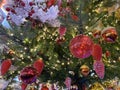 Christmas decorations. A real fir tree covered with snow. Christmas toys balls of red and gold color and a shining garland hang on Royalty Free Stock Photo