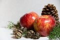 Christmas decorations with red apples pineapples and pine trees white background Royalty Free Stock Photo