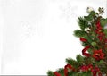 Christmas decorations with red berries and poinsettia on a white Royalty Free Stock Photo