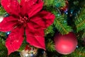 Christmas decorations Red flower hanging on a branch Garland is shining Close-up Royalty Free Stock Photo