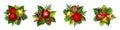 Christmas decorations with red and gold Christmas balls, bells, fir branches, cones, and poinsettia flowers Royalty Free Stock Photo