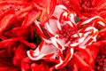 Christmas decorations - red and white fabric Poinsettia Royalty Free Stock Photo