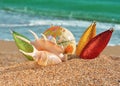 Christmas decorations and seashell on a beach