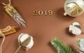 2019, Christmas decorations, spruce branch, branch, cotton branch, artificial icicle, Christmas decorations, Christmas Royalty Free Stock Photo