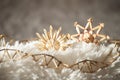 Christmas decorations- straw stars and string of reeds in sunlight