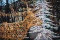 Christmas decorations in the streets of Helsinki, with evening light illumination, concept of Christmas in Finland, with deer made