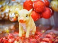 Christmas and New Year festive soft-focused background with a pig as a symbol of the new year.