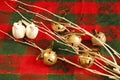 CHRISTMAS decorations,  two white doves, gold jingle bells, Royalty Free Stock Photo