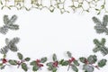 Christmas decorative background with decorations, holly, mistletoe and snow covered cedar cypress white