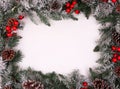 Christmas decorative border with holly berries Royalty Free Stock Photo