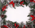 Christmas decorative border with pine cones and holly berries Royalty Free Stock Photo