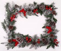 Christmas decorative border with pine cones and holly berries Royalty Free Stock Photo