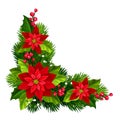 Christmas decorative corner background with fir branches, red poinsettia flowers, holly, and mistletoe. Vector illustration Royalty Free Stock Photo