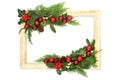 Christmas Decorative Flora and Bauble Winter Frame Royalty Free Stock Photo