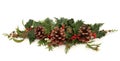 Christmas Decorative Spray Royalty Free Stock Photo