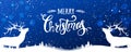 Christmas deer with Merry Christmas Typographical on blue background with winter landscape with snowflakes, light, stars Royalty Free Stock Photo