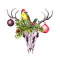 Christmas deer skull, christmas tree branches, mistletoe and red berries. Watercolor in boho style