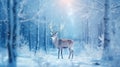 Christmas deer in the snowy forest. cute deer illustration, cool colors. wild nature. Royalty Free Stock Photo