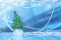 Christmas delicate blue background.A twig of a thuja in the form of a Christmas tree