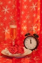 Before christmas dinner Royalty Free Stock Photo