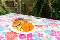 Christmas dinner with gravy boat. Royalty Free Stock Photo