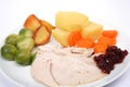 Christmas dinner horizontal Royalty Free Stock Photo