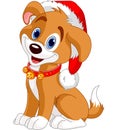 Christmas dog Royalty Free Stock Photo