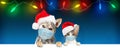 Christmas Dog and Cat Wearing Face Masks Over Banner Royalty Free Stock Photo