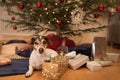 Christmas dog - Jack Russell Terrier