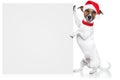 Christmas dog placeholder