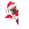 Christmas dog Royalty Free Stock Photo