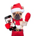 Christmas dog shopping Royalty Free Stock Photo