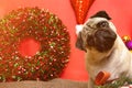Christmas Dog With Christmas Wreath On Christmas Holidays