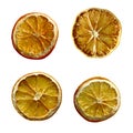 Christmas Dried orange fruit isolated set