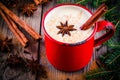 Christmas drink: hot white chocolate with cinnamon and anise in red mug Royalty Free Stock Photo