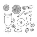 Christmas drinking. Mulled wine ingredients set. Fruit mulled wine recipe. Doodle Outline vector illustration. Hot Royalty Free Stock Photo