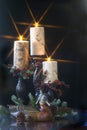 Christmas Duck with candles Royalty Free Stock Photo