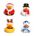 Christmas Ducks Royalty Free Stock Photo