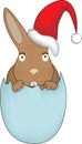 Christmas Easter Bunny