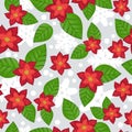 Christmas seamless pattern with red poissentia, snowflakes of green leaves. for scrapbook or wrapping paper Eps 10