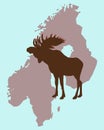Christmas Elk in Scandinavia