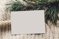 Christmas empty card. blank christmas note or wish list on styli