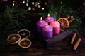 Christmas eve, four purple burning advent candles Royalty Free Stock Photo