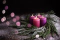 Christmas eve, wreath with four burning purple advent candles Royalty Free Stock Photo