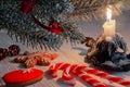 Christmas evening, a burning candle and Christmas gingerbread, caramel sweets