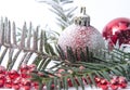 Christmas evergreen spruce tree, glass ball and snow Royalty Free Stock Photo