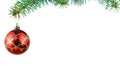 Christmas evergreen spruce tree Royalty Free Stock Photo